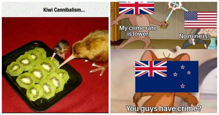 40 Memes That Prove New Zealand Isn’t Just Sheep and Lord of the Rings (But Mostly)