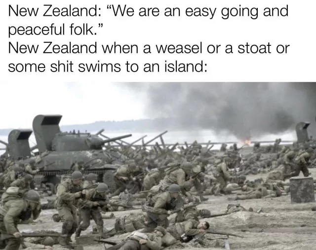 23317 9
