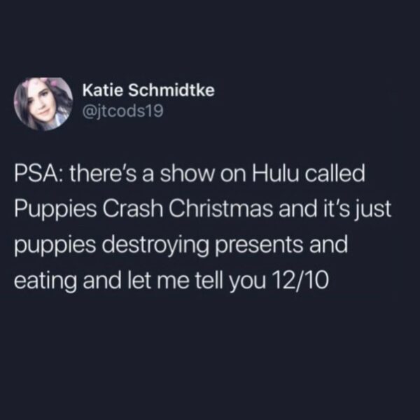 234580 19