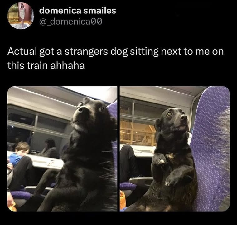 234580 22