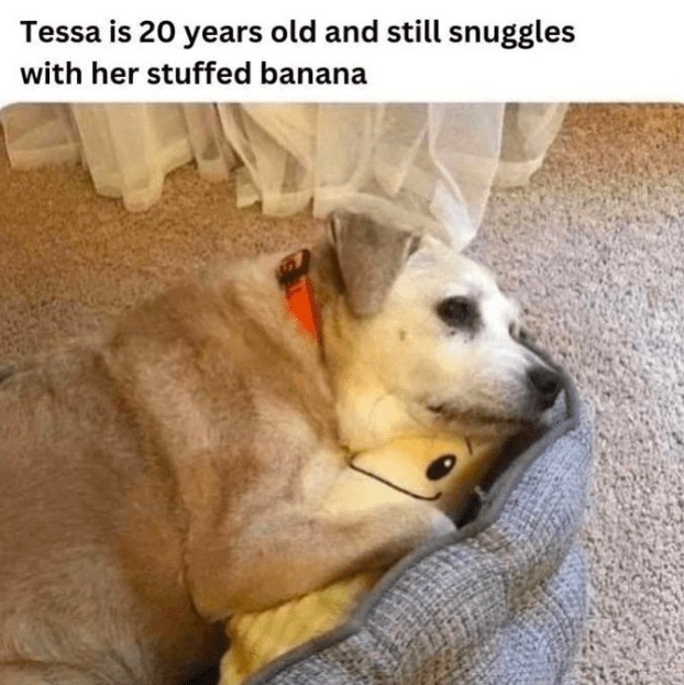 234580 24