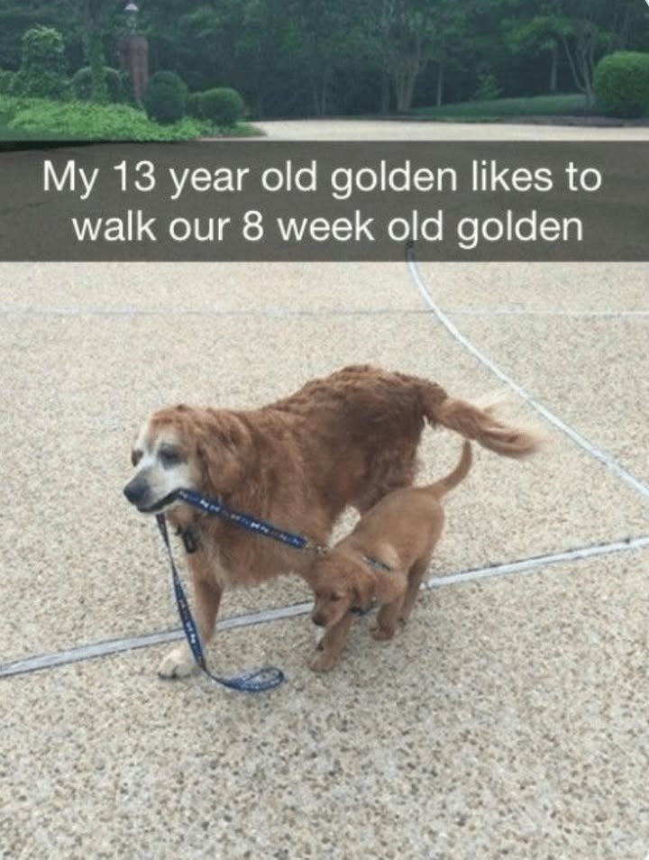 234580 25