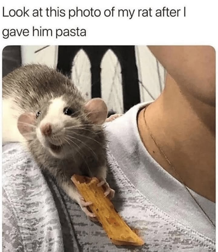234580 29