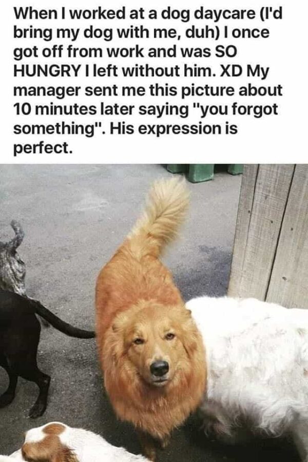 234580 31