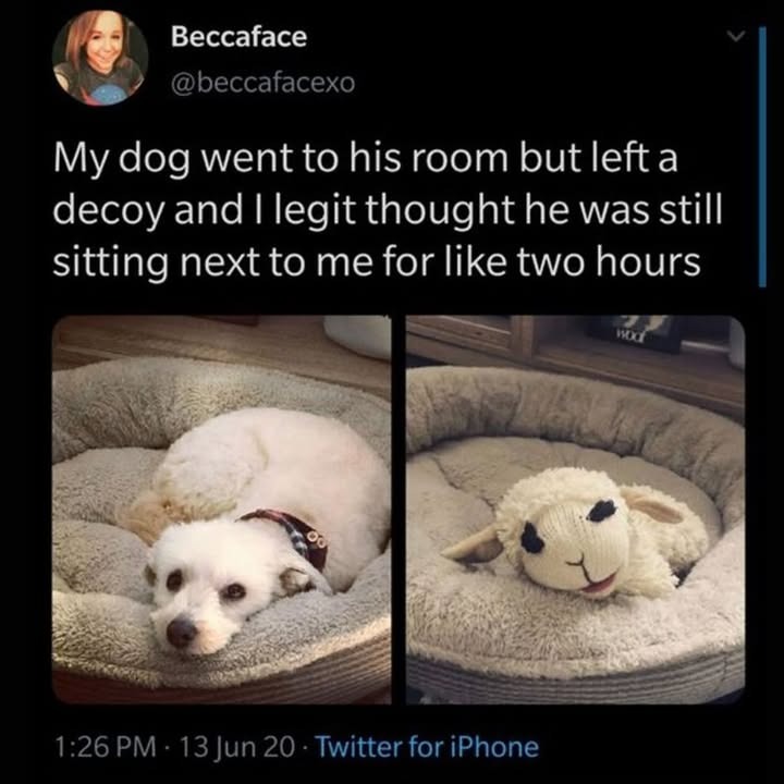 234580 34