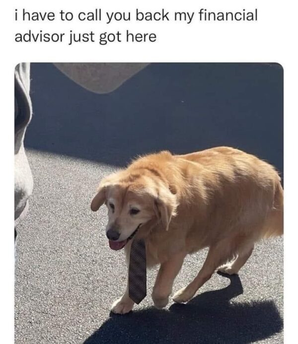 23553 1