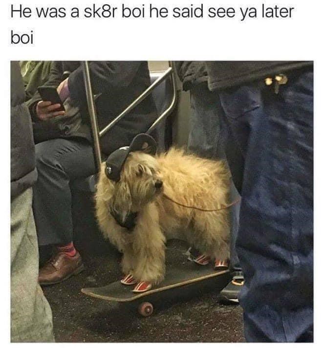 23553 11