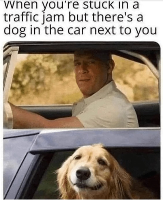 23553 13