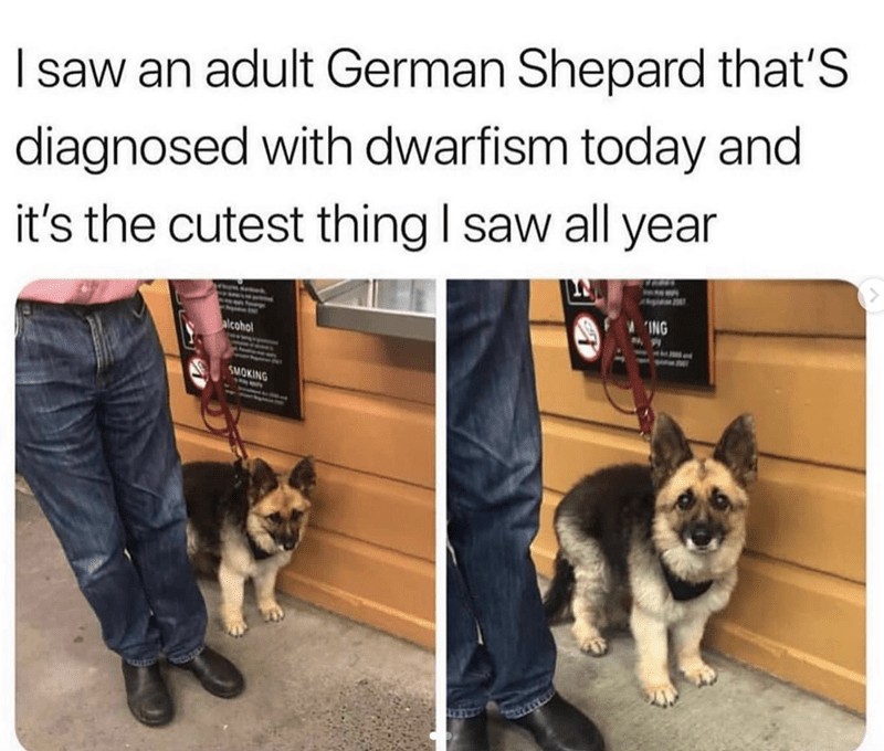 23553 14