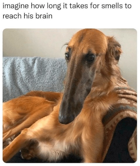 23553 18