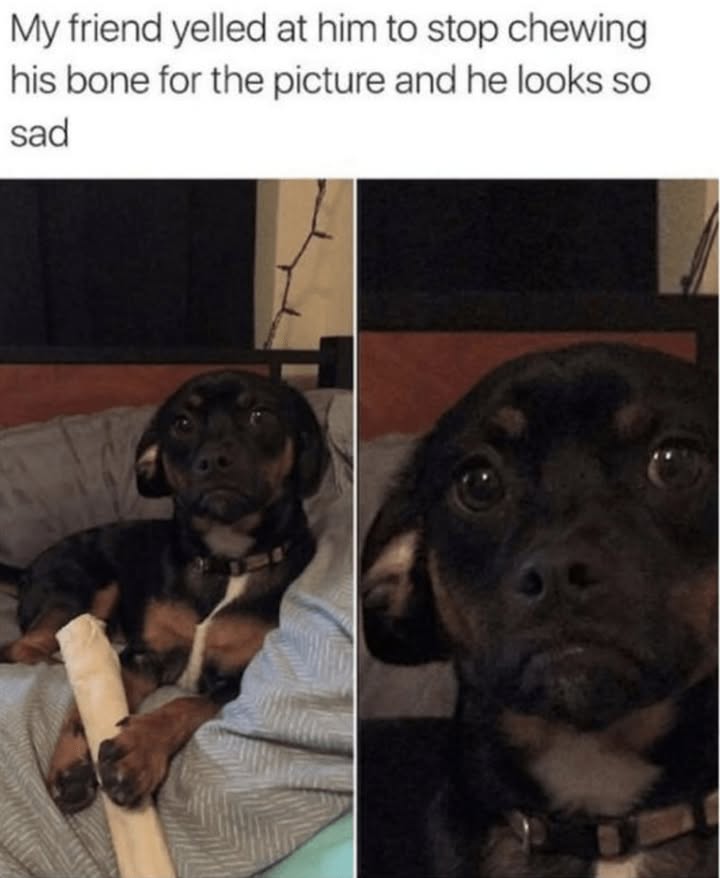 23553 21