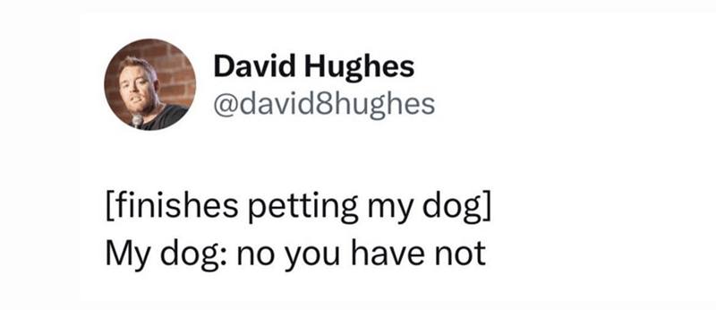 23553 22