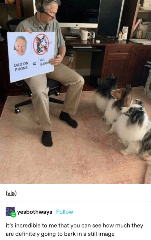 23553 23