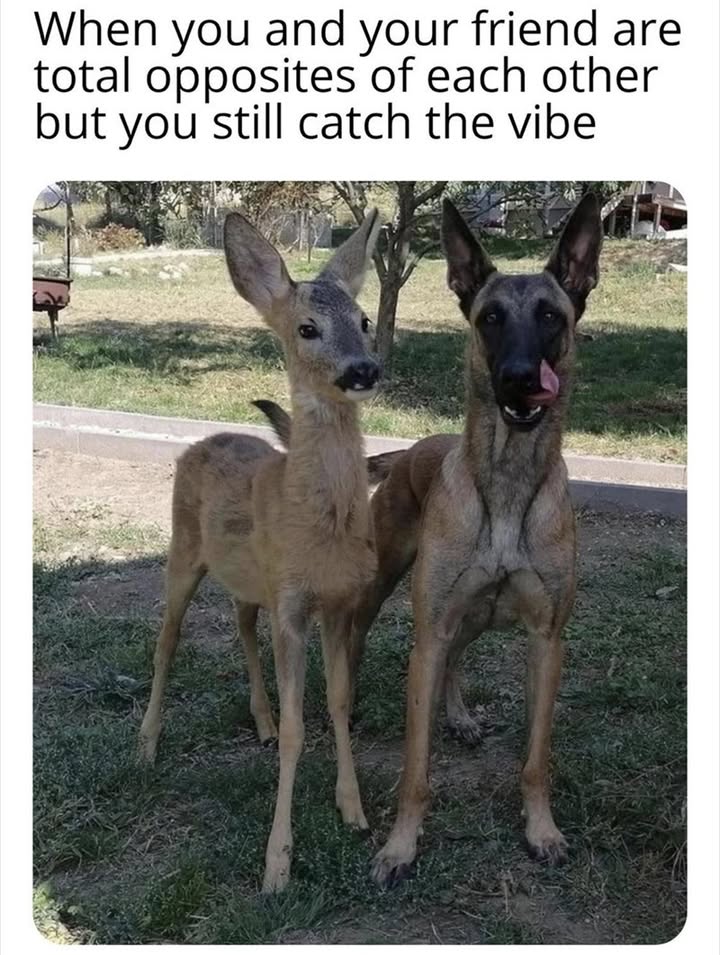 23553 24