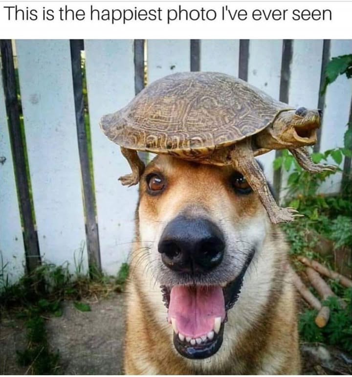 23553 25
