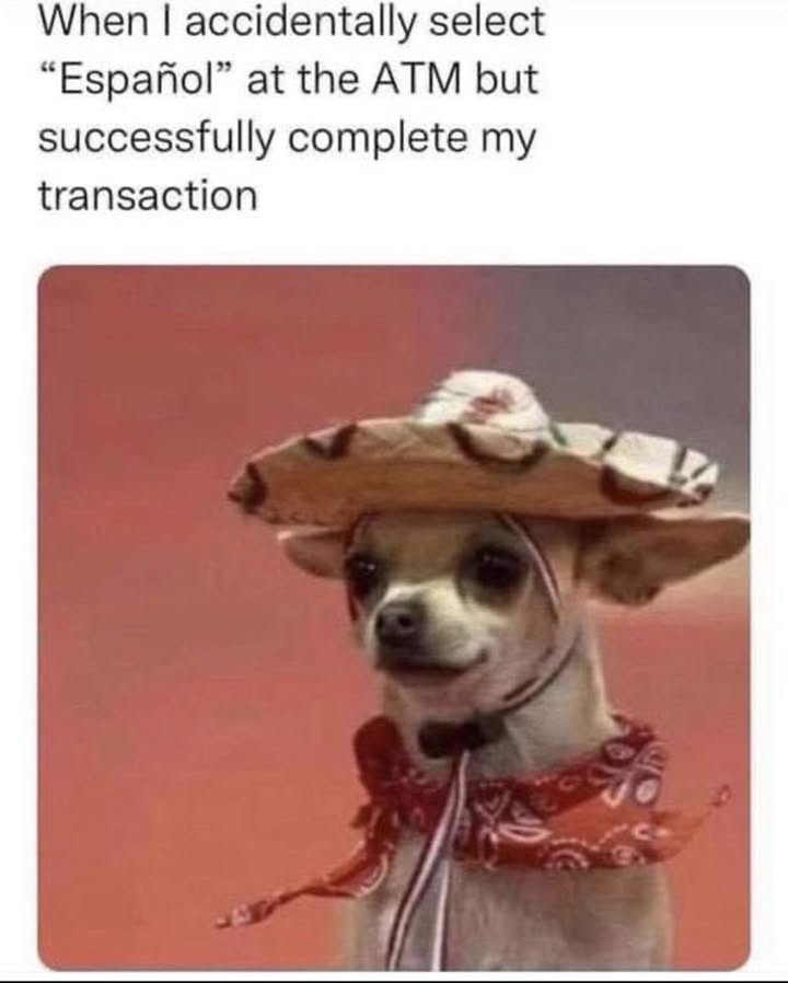 23553 26