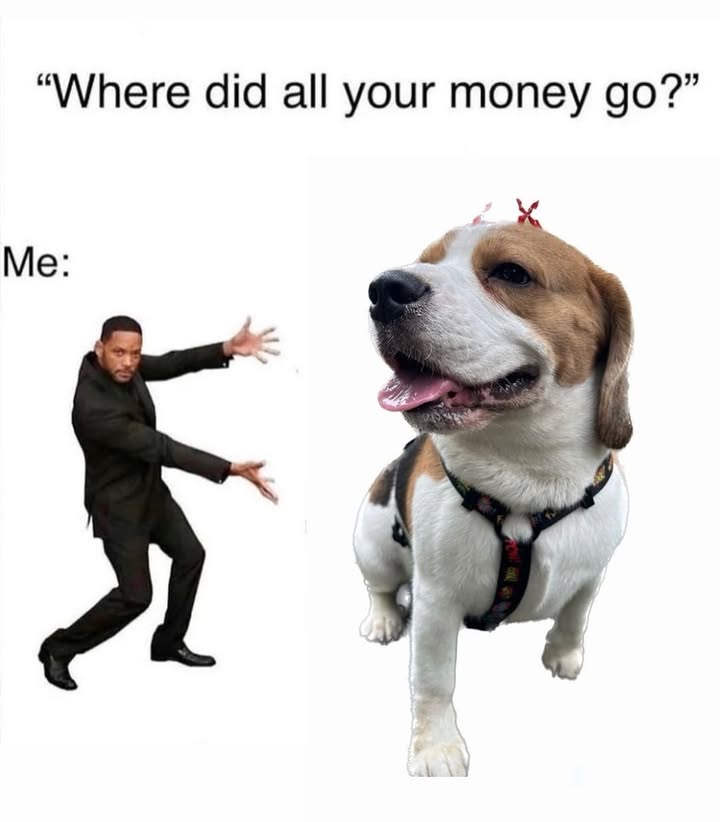 23553 29