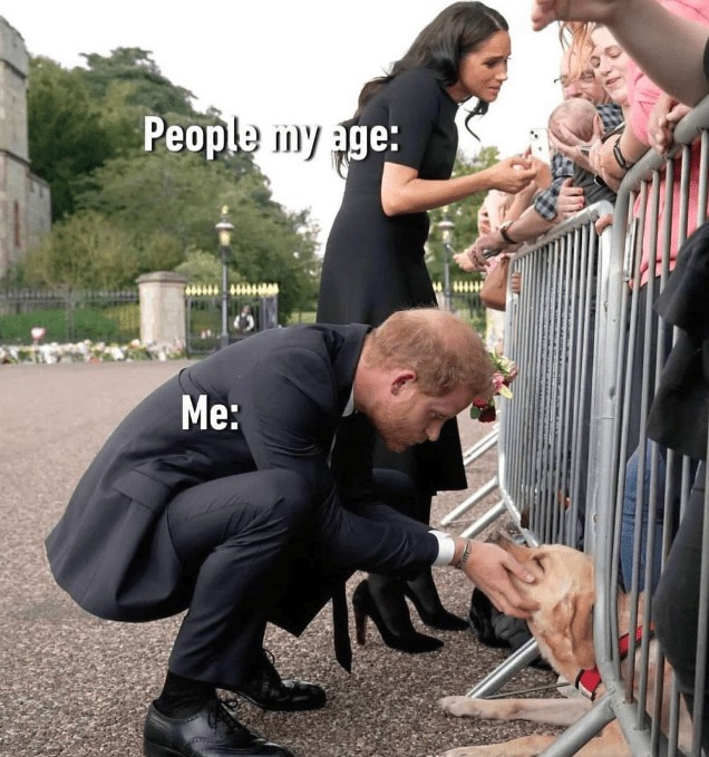 23553 30