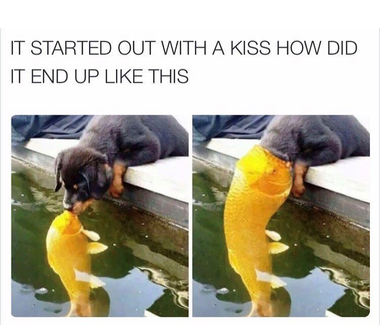 23553 32