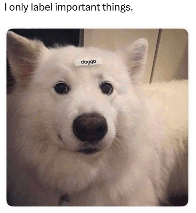 23553 36