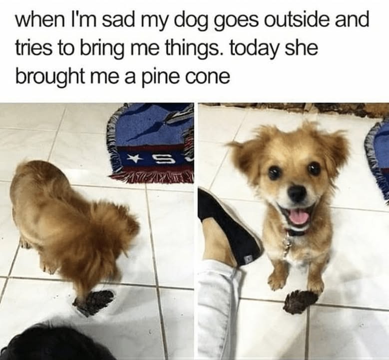 23553 37