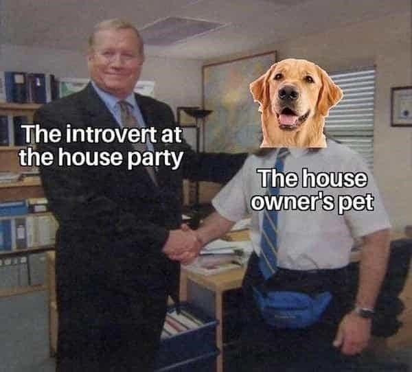 23553 4