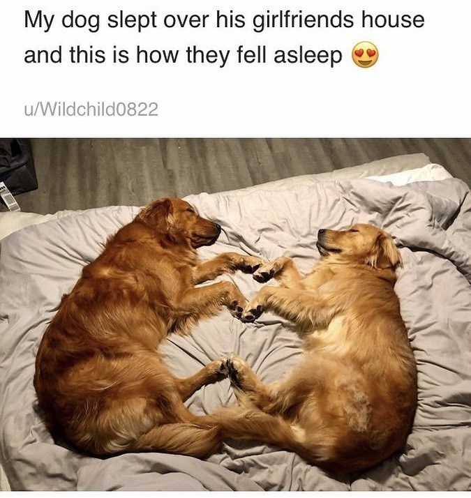 23553 6