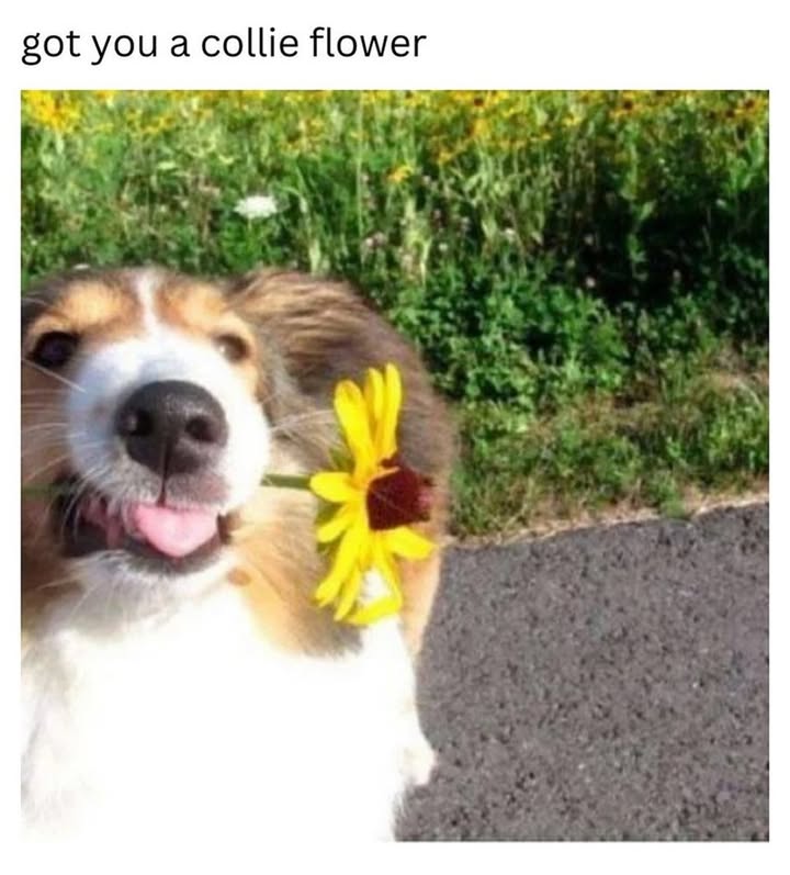 23553 7