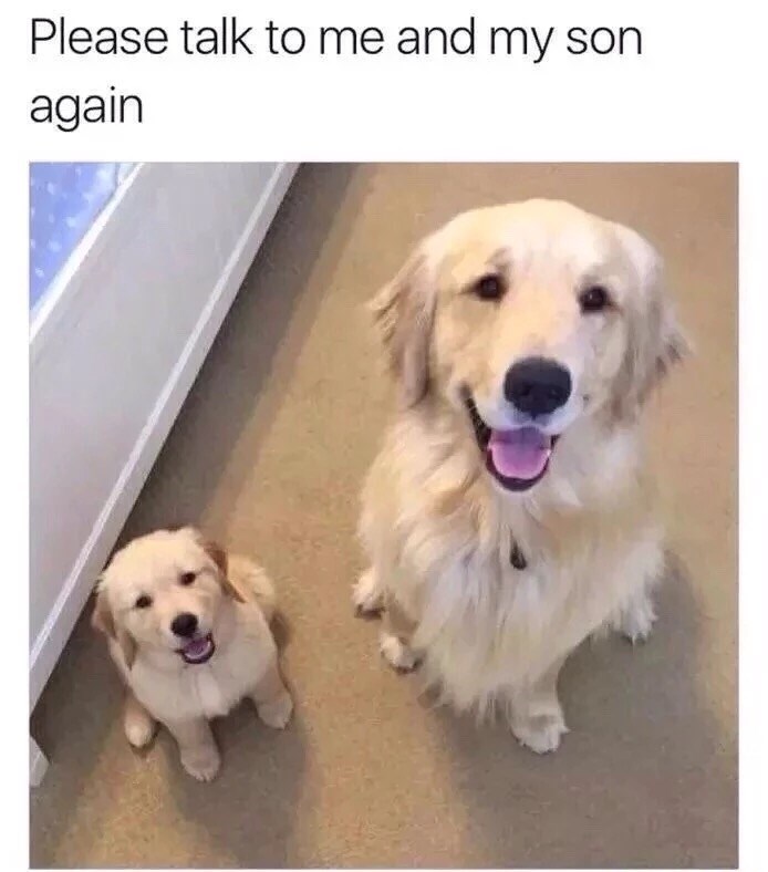 23553 8