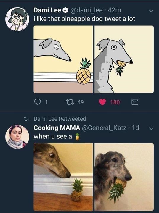 23553 9
