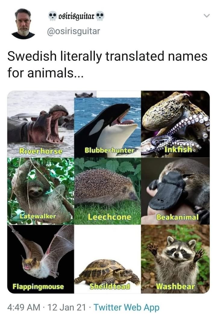23648 11