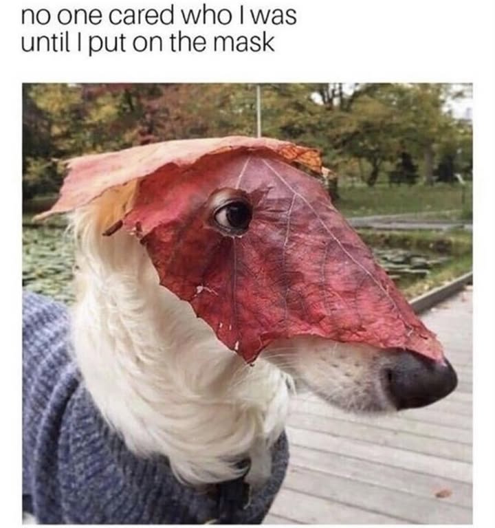 23648 12