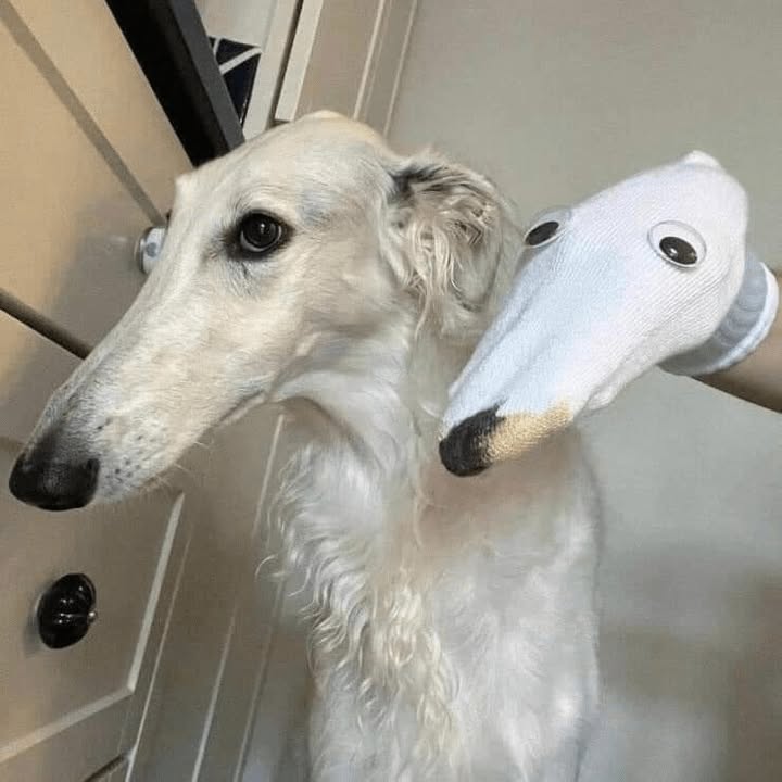 23648 20
