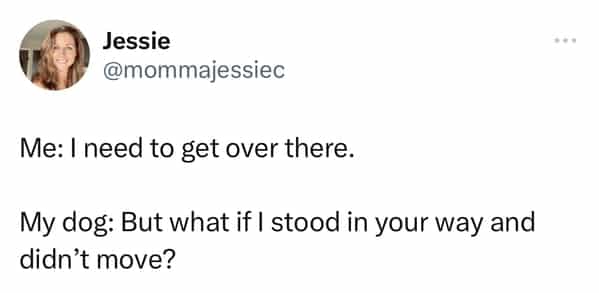 23648 3