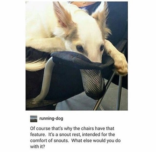 23648 31 2