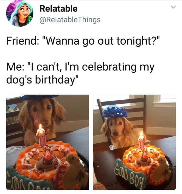 23648 33 2