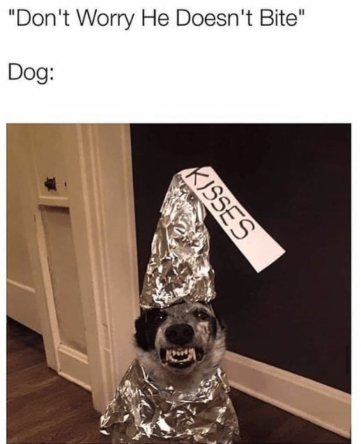 23648 38 2