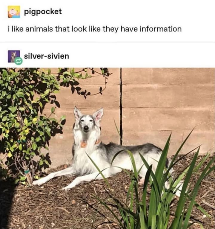 23648 5