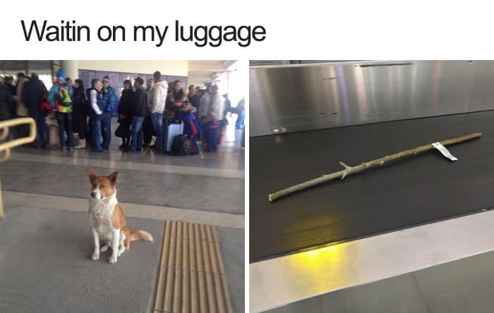 23648 6