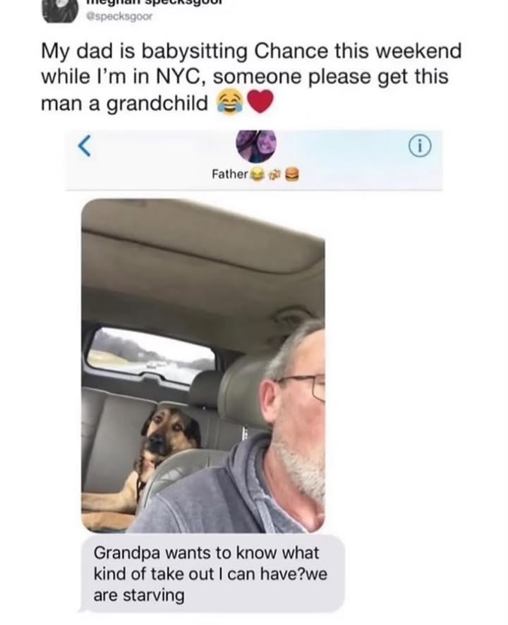 23648 7