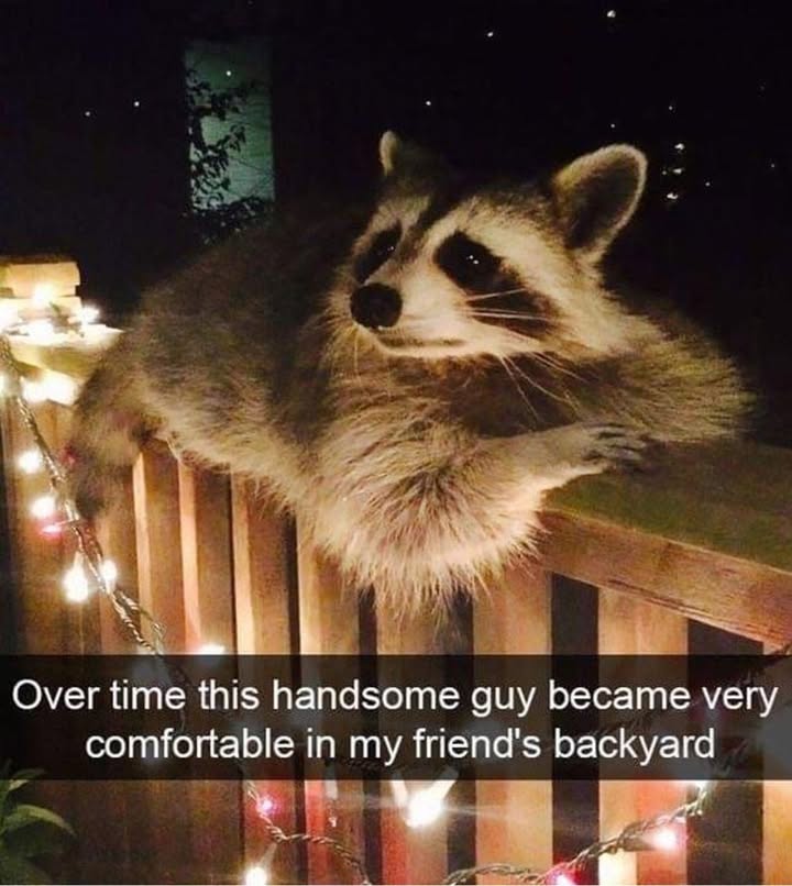 23648 9