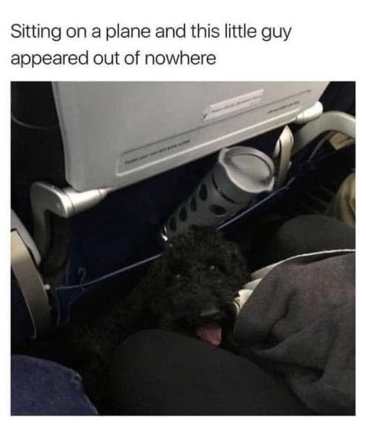 23714 21