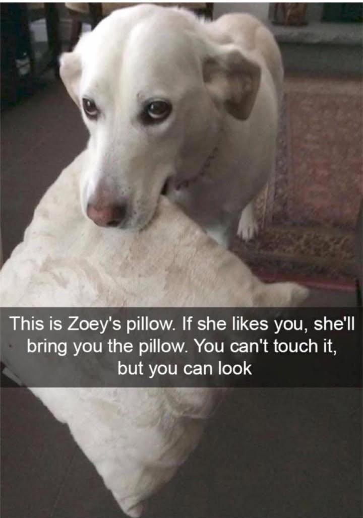 23714 26