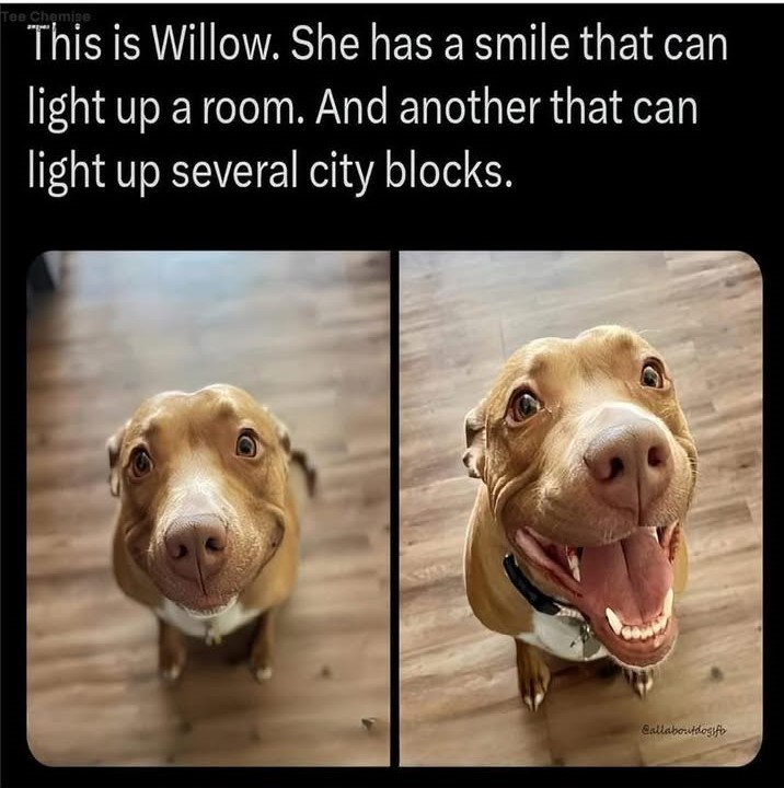 23714 5