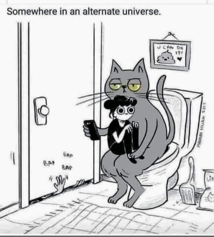23820 4