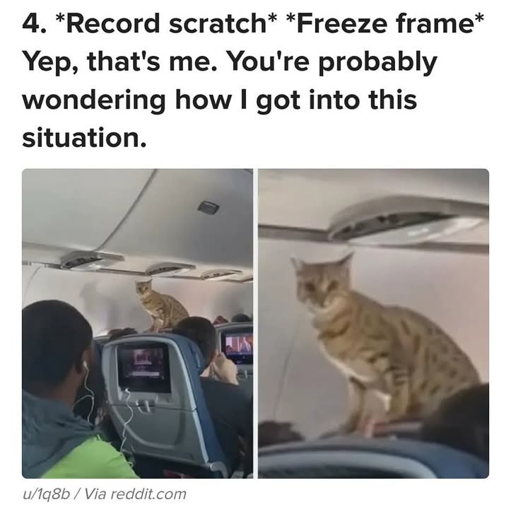 23948 14
