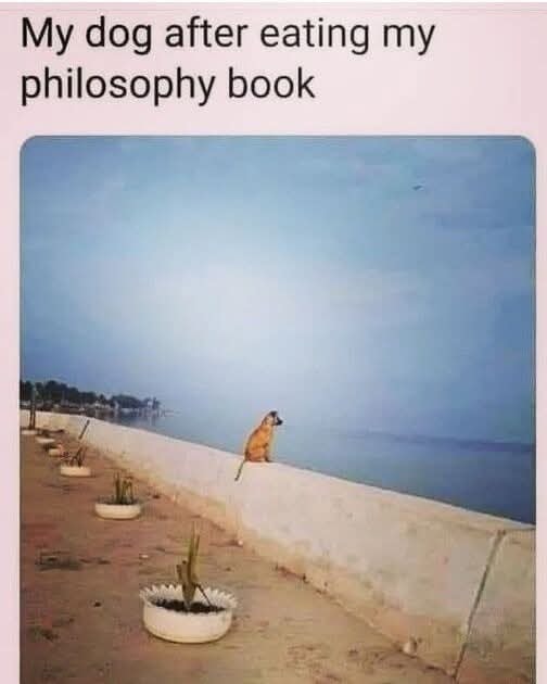 23948 15