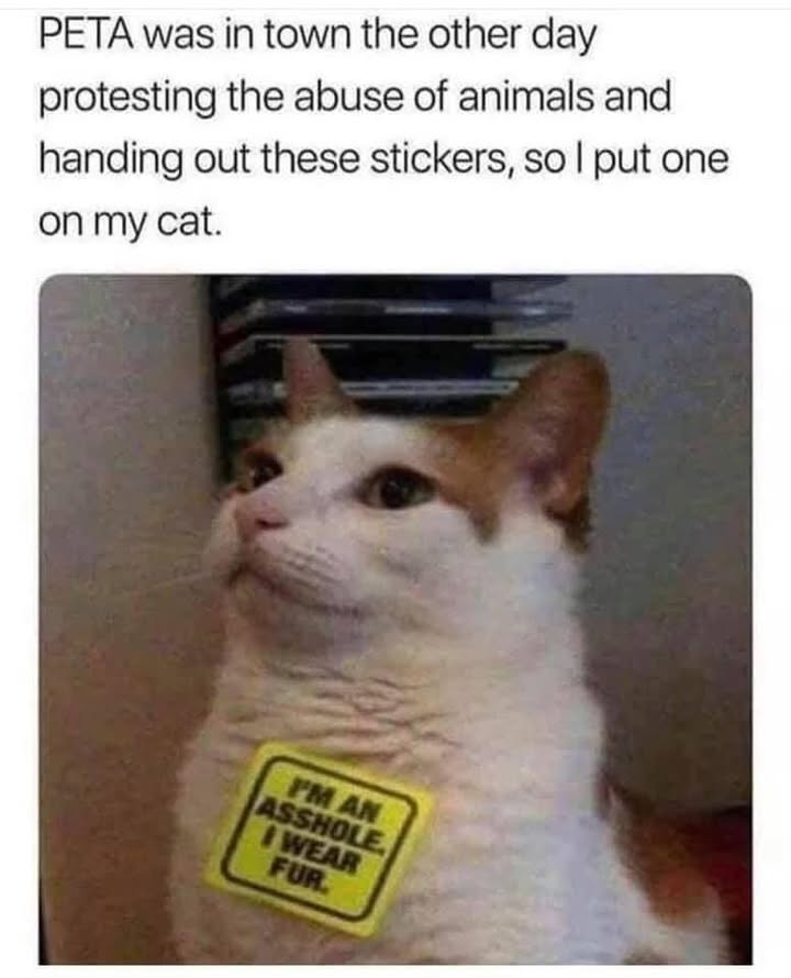 23948 19
