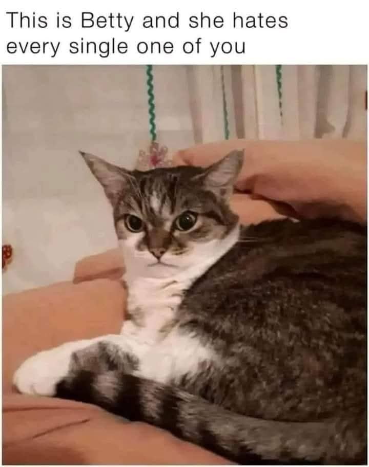23948 20