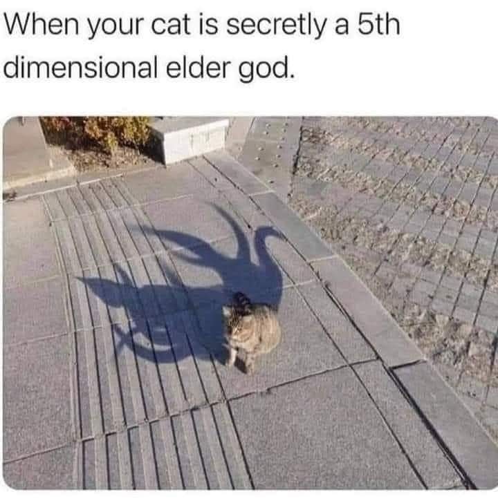 23948 21